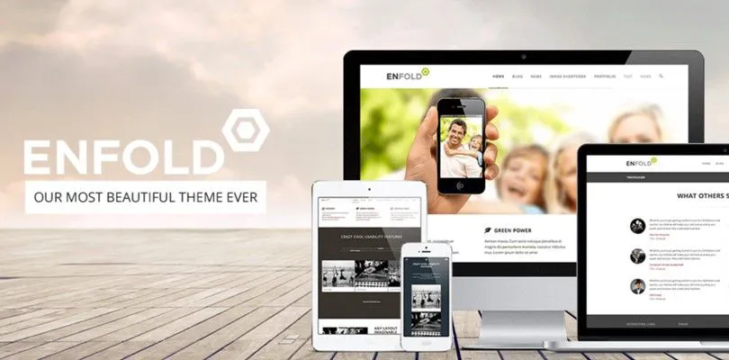 Enfold theme for wordpress